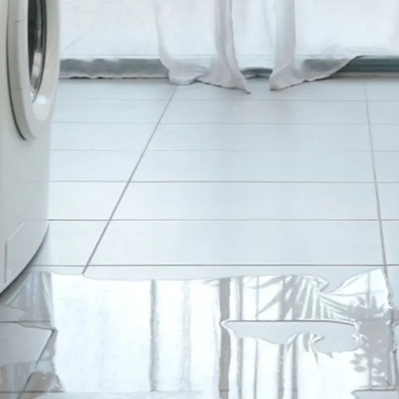 Appliance Leak Cleanup in Doddridge County, WV