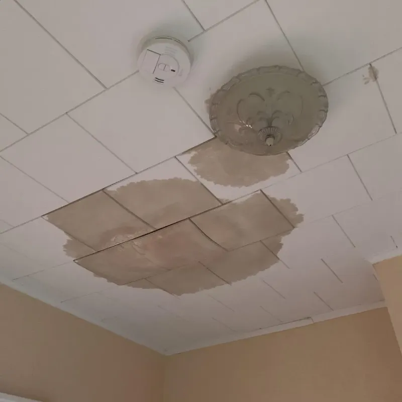Ceiling Water Damage Repair in Doddridge County, WV