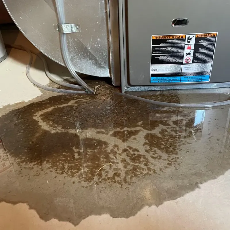 Pipe Burst and Leak Restoration in Doddridge County, WV