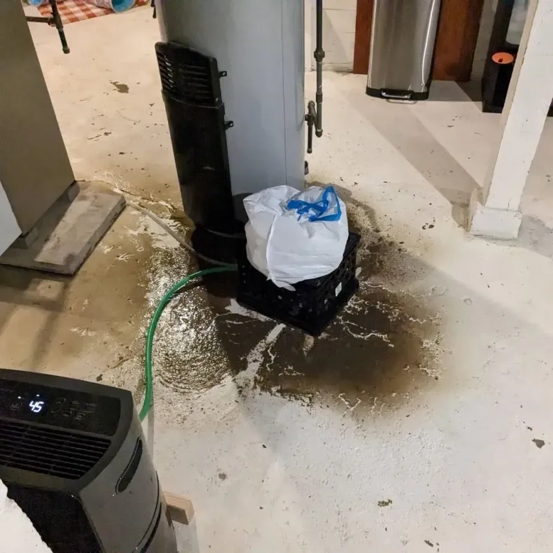 Sewage Backup Cleanup Service in Doddridge County, WV